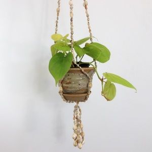Vintage Boho Seashell Plant Hanger